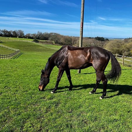 Byre - Farm Cottage On 9 Acre Equestrian Small Holding Salisbury Bagian luar foto
