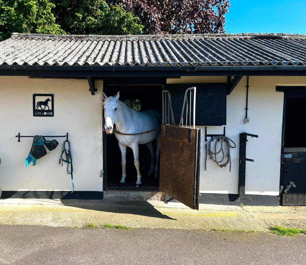 Byre - Farm Cottage On 9 Acre Equestrian Small Holding Salisbury Bagian luar foto
